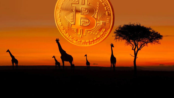africa bitcoin