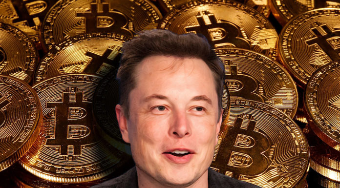 elon_musk_bitcoin_culttoday