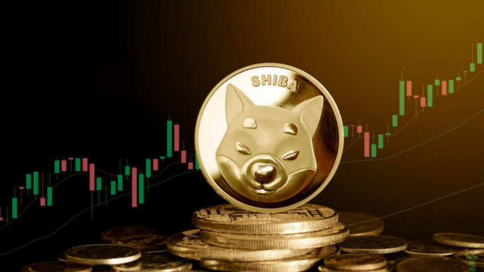 shiba inu