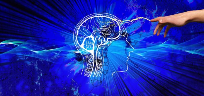 brain ai