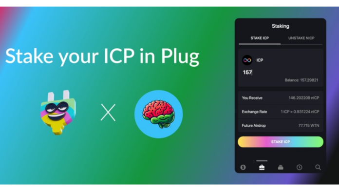 PLUG WALLET