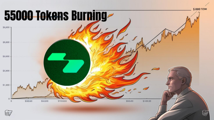 55000 Tokens Burning