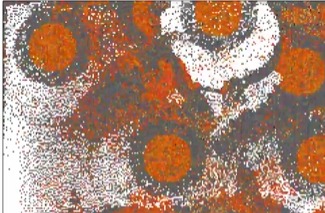 image (100)