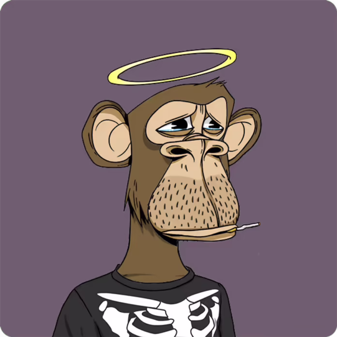 bored-ape-yacht-club